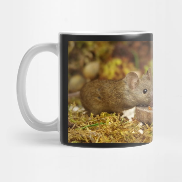 wild house mouse with picnic table by Simon-dell